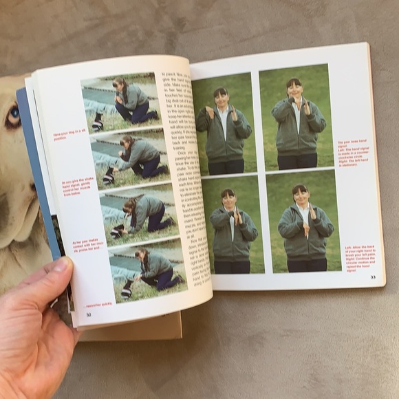 Old Dog, New Tricks By David Taylor and How to Teach Your Old Dog New Tricks - Picture 8 of 10